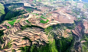 山西乡宁：攻坚克难，大山深处打造“十万亩高标准农田”