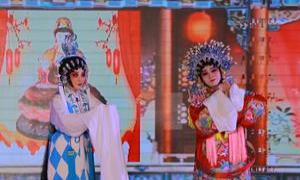 粤韵润红城 非遗助文旅 2025百色粤剧专场演出为文旅大会添彩