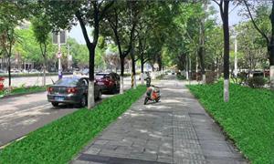 湖北江陵全力推进江陵大道植物景观提档升级