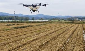 浮山街道白鹤村:科技赋能农耕 开启智慧农业新图景