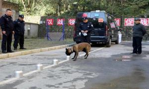 湖北远安退休民警重返警营“考核”警犬工作