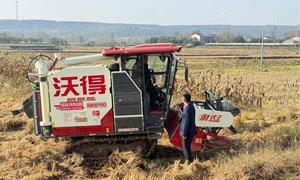 安徽来安农商银行:金融动力助农丰收底气足