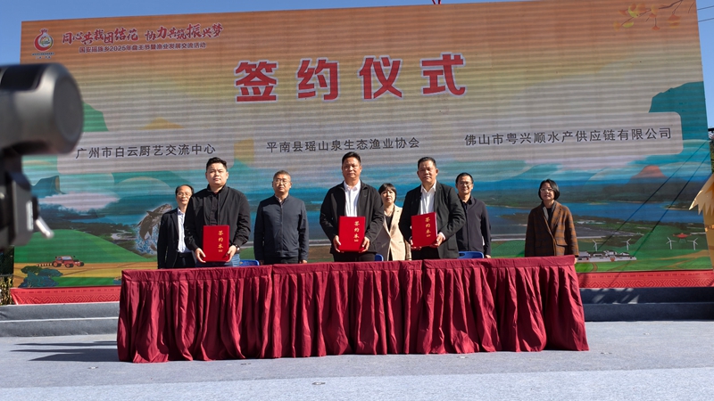 微信图片_20251201110852_437_142.jpg 微信图片_20251201110852_437_142.jpg