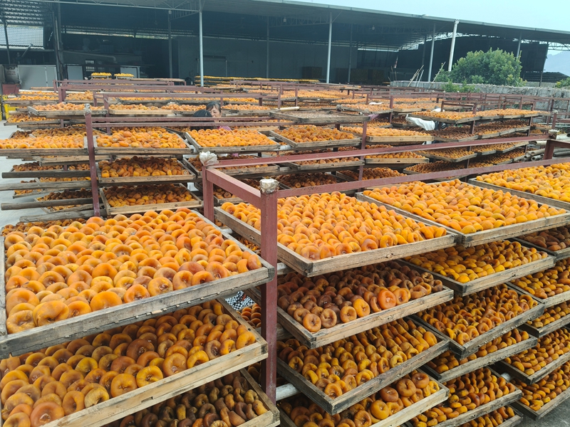 微信图片_20251206160637_109_57.jpg 微信图片_20251206160637_109_57.jpg