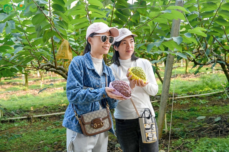 采购商与释迦果合影留念.jpg 采购商与释迦果合影留念.jpg