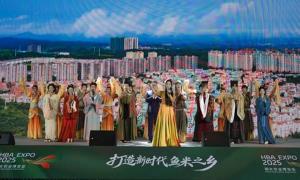 2025湖北农博会随州香菇产业创意推介活动打造全产业链展示新标杆