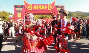 平南国安瑶乡“山泉鱼”游出品牌经济新航道