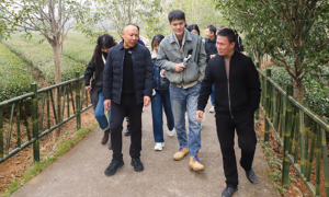 2025福建省“文明有象・和美乡村” 主题采访活动走进武夷山：朱子文化滋养三茶生态文明