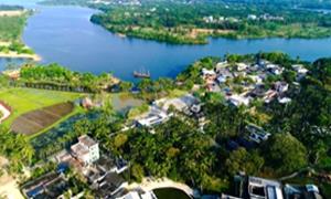 留客村：青砖黛瓦藏古韵 侨乡留客焕新颜