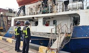 北部湾港迎来第100条集装箱航线，边检高效保障首航通关