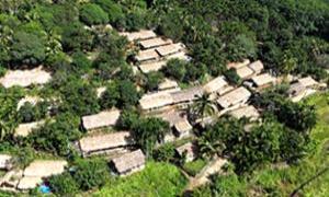 初保村：从茅草屋到新民居 守护“黎家第一村”