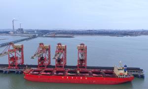 “东南大港”开年就开跑，莆田边检站护航煤炭能源高效入境