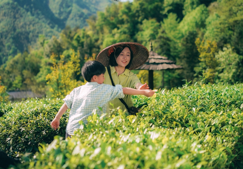 芒果TV助农公益短片《春天不怕晚》.jpg
