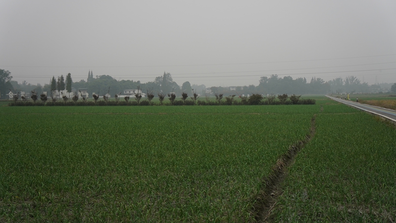 DSC00670.jpg