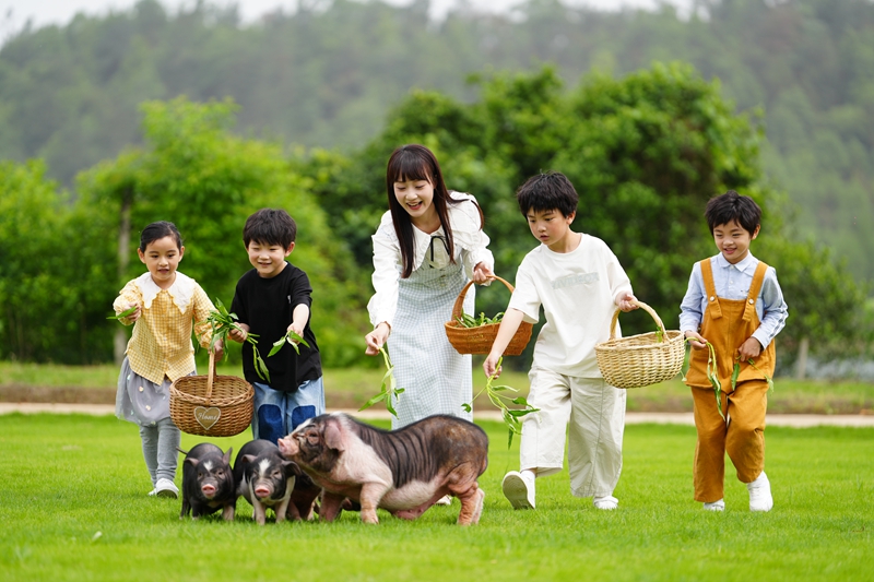 芒果TV“一县一品”公益广告《“顶流”养成记》.jpg