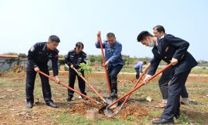 青春志愿行 植此添新绿