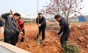 为绿色充“植” 建美丽港口