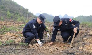 友谊关边境派出所联合共建单位开展“警地携手绿化边疆”主题活动