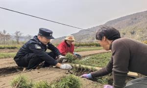 续写新时代雷锋故事的“平安答卷”