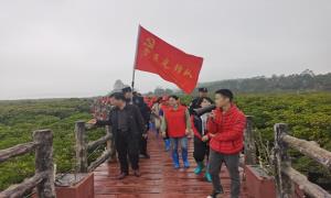 党建引领护生态 红树林畔践初心