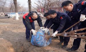 警企共植生态林 边检添绿护港城