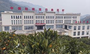 王家岭村：柑橘全链条模式 激活乡村振兴新动能