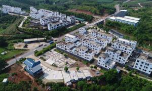 新乐村：发展订单农业新模式 立体养殖助农促增收