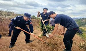 新春添绿正当时 警地携手固边疆