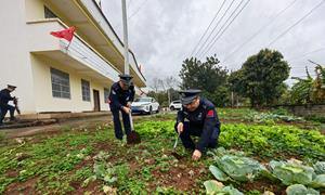 雷锋榜样行中学 关怀助老见行动
