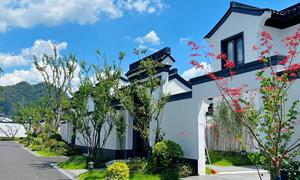 庙子镇：庭院“方寸地”变身增收“致富园”