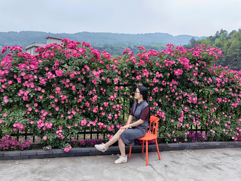 游客在香草小院打卡.jpg
