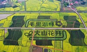 常德津市：传承家风 涵养文明