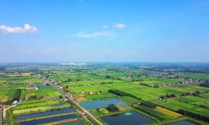 益阳市大通湖区：移风易俗正当时 乡村振兴动能足