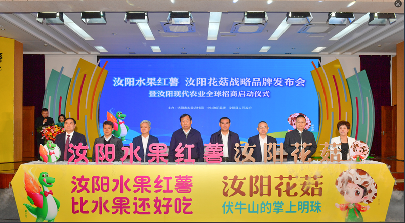 d367e80cc782b3cd50010517a788e28.png