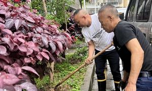 小区居民齐动手 共绘治理新画卷