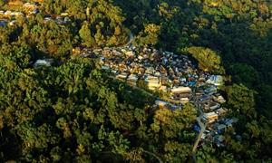 普洱市芒景村：茶与人的禅意栖居