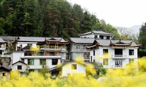 湖北恩施：杨家湾“变形记”