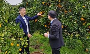 党建领航促振兴 同筑幸福新溪村