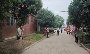 霍邱县龙潭镇：绿意盎然乡村梦 共建宜居新环境