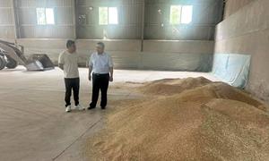 金融活水润粮仓 服务创新助振兴