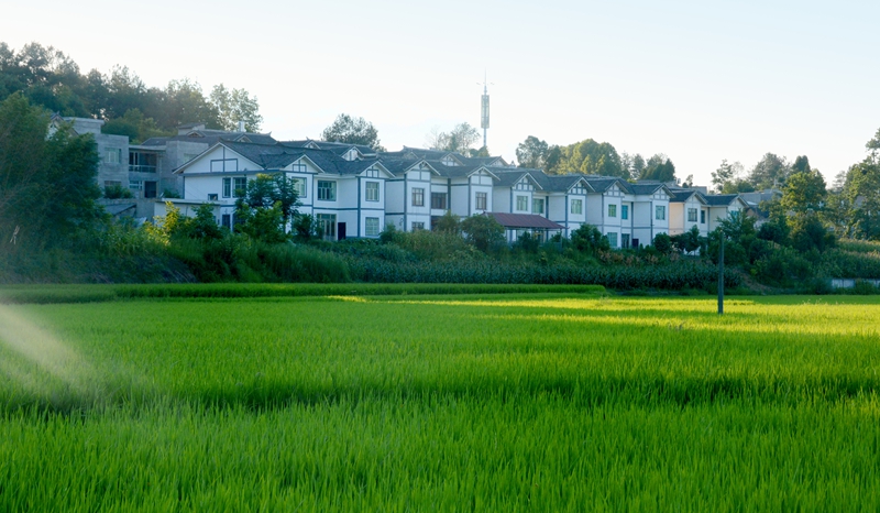 贵州省毕节市金沙县安底镇桂花村村容村貌。（桂花村供图）.jpg