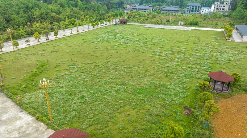 贵州省毕节市金沙县安底镇桂花村晒场.jpg