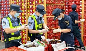 RCEP红利“果”然甜 边检护航东盟水果海上通道高效畅通