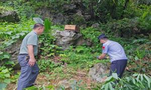 “萌”禽出没！警民携手救助“落难”猫头鹰