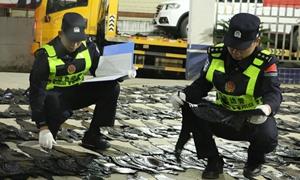 广西百色边境管理支队查获598张走私鳄鱼皮制品制品
