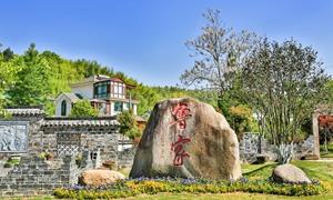 鲁家村：打造“鲁家模式” 同筑“共富联盟”