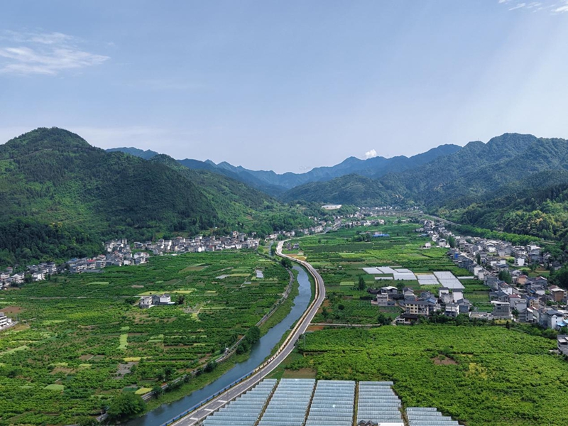 万亩贡水白柚基地.jpg
