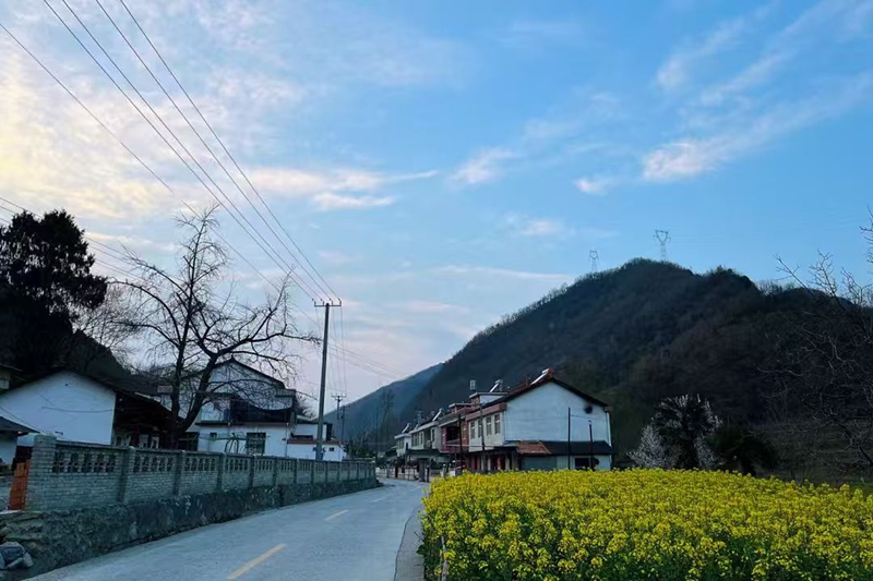 黑河镇整洁的村庄道路.jpg