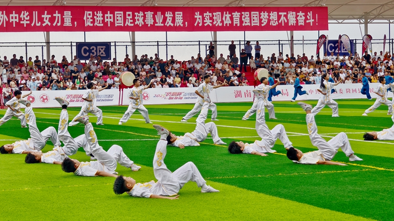 足球转动的是梦想，侨心联结的是真情.jpg