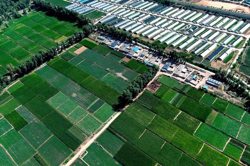 陕西省榆林市绥德县“塞外小江南”鱼河堡新貌+陈丽媛 摄.jpg